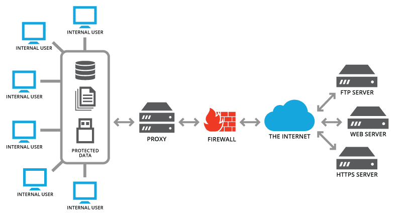 Squid dashboard screenshot
