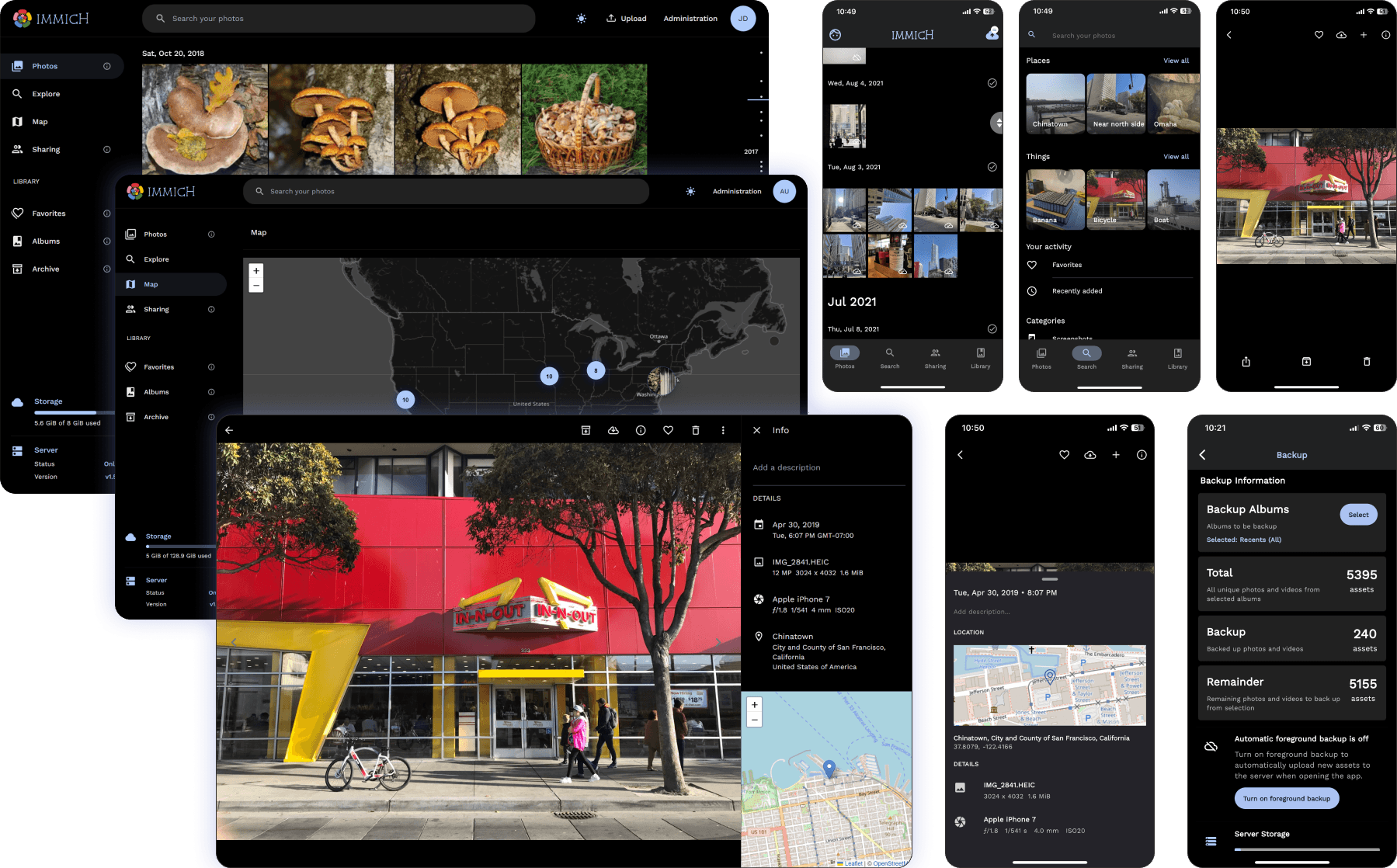 Immich dashboard screenshot