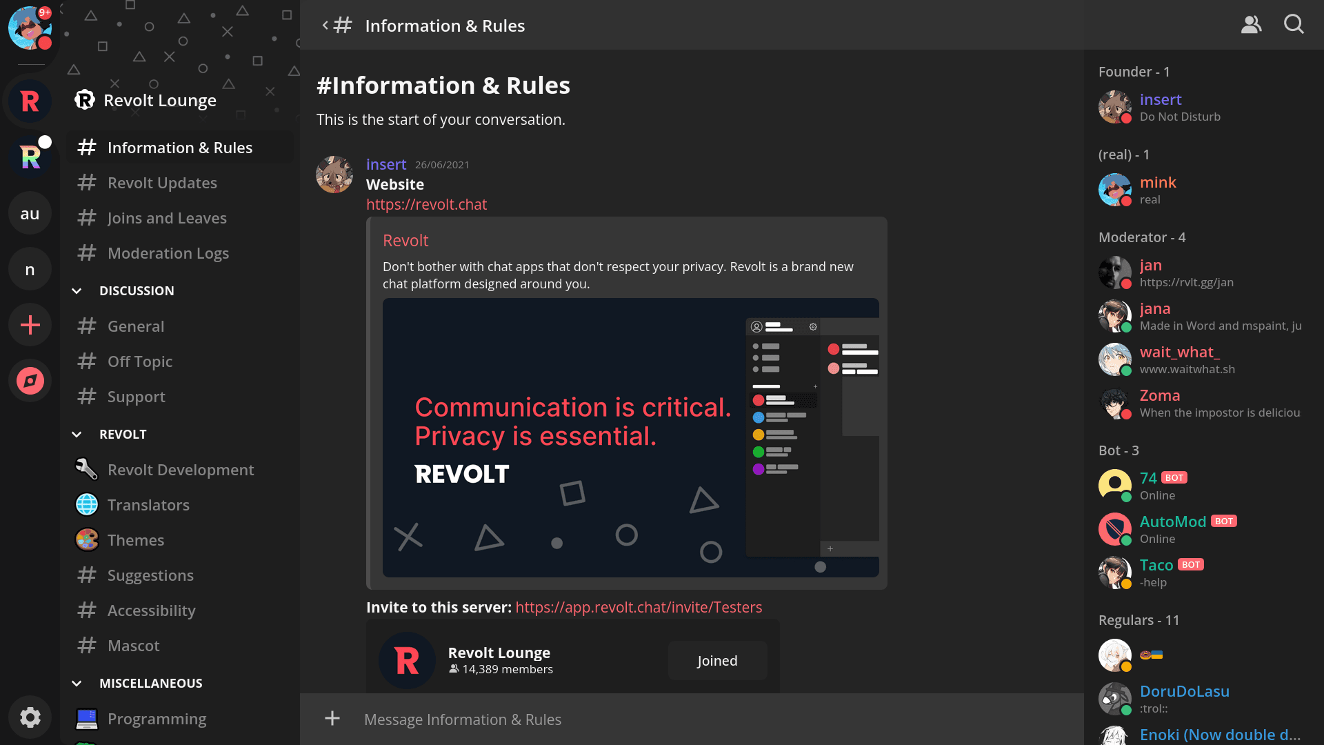 Revolt dashboard screenshot