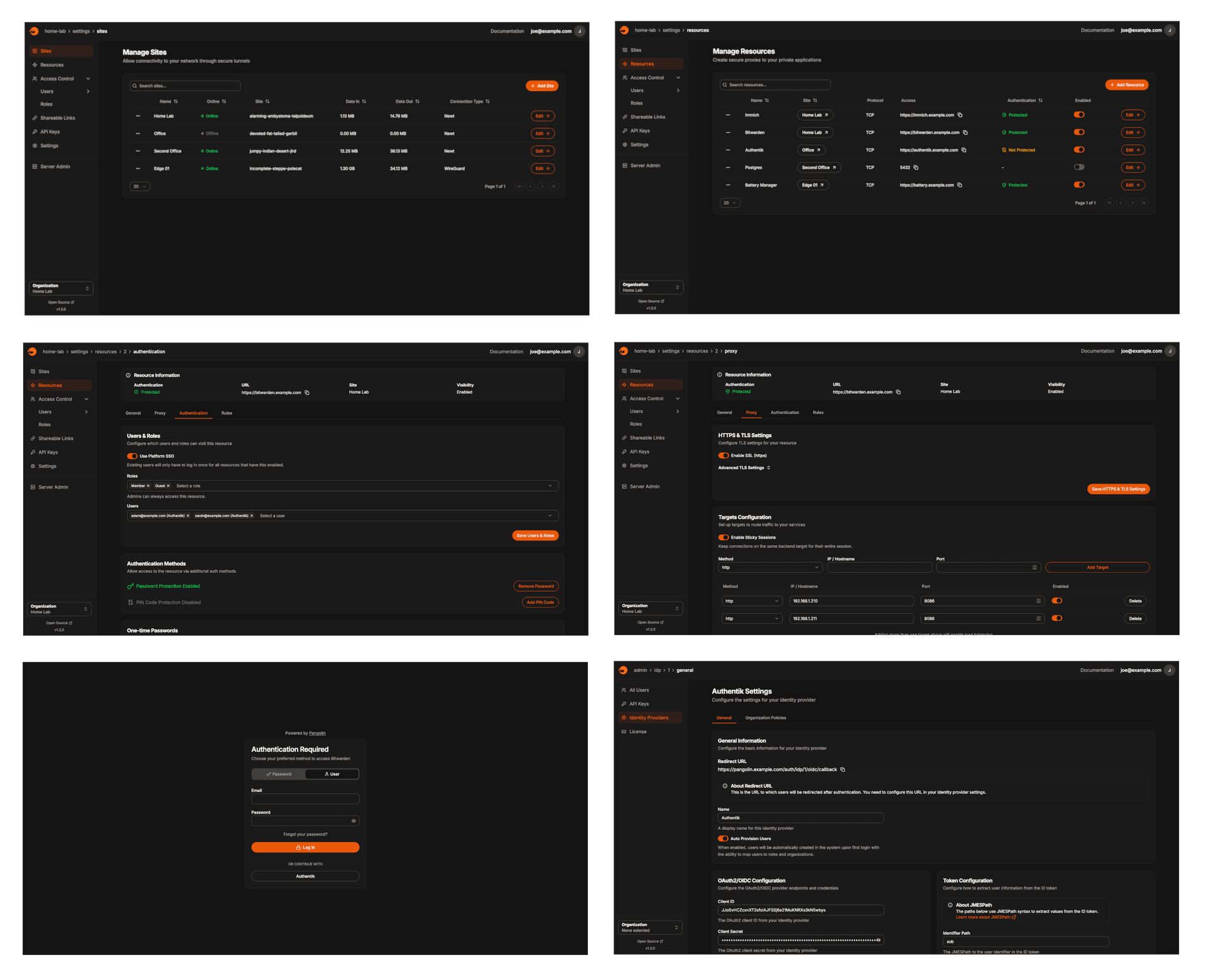Pangolin software screenshot