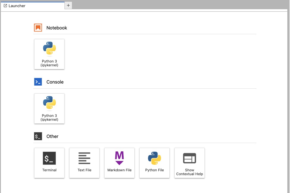 JupyterHub Launcher screen