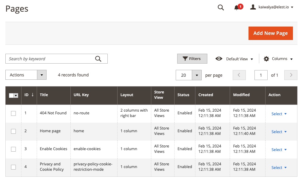 Magento Pages Screen