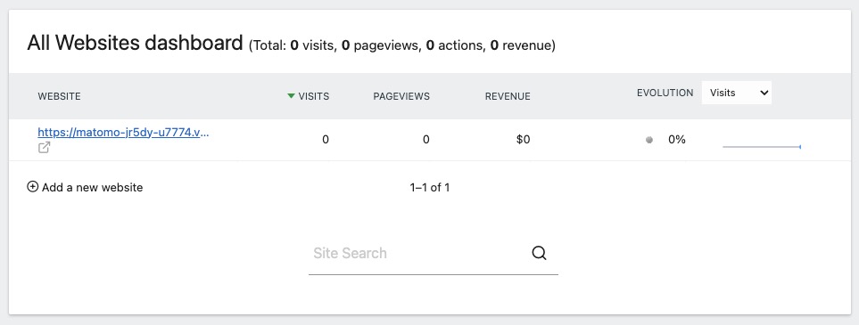 Matomo Website Screen