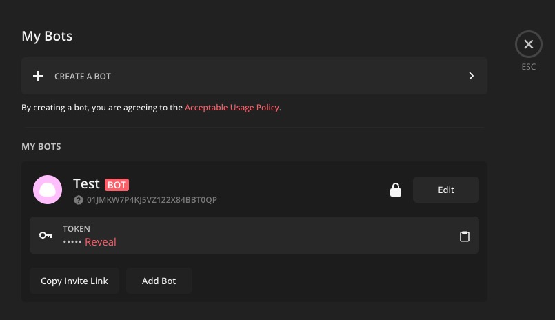 Revolt Creating Bot screen