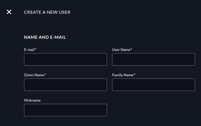 Zitadel user screen